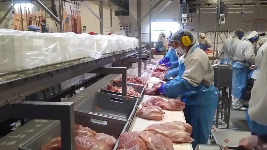 betriebliche-effizienz-fleischindustrie-