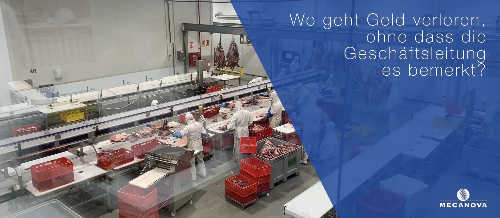 betriebliche-effizienz-fleischindustrie
