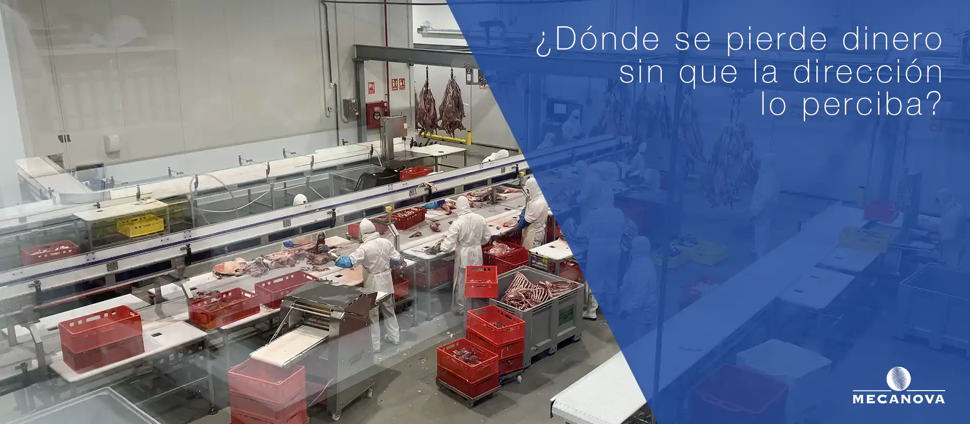 eficiencia-operativa-industria-carnica